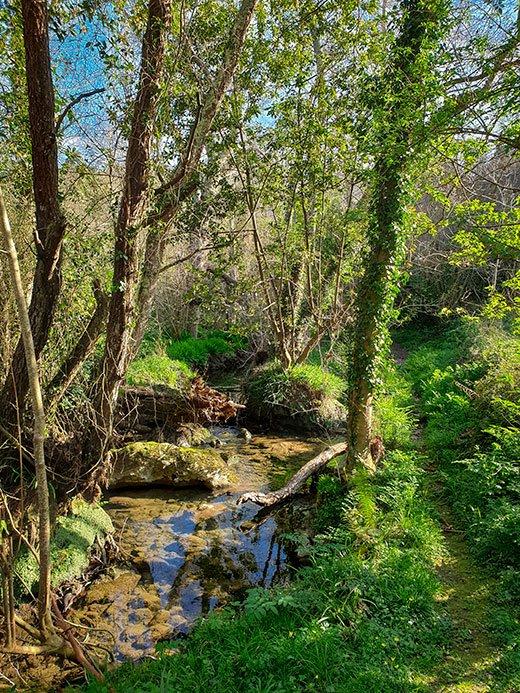 Der Weg des Flusses Guadamía ©viajerosconfesos