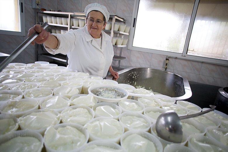 Image of a cheese factory