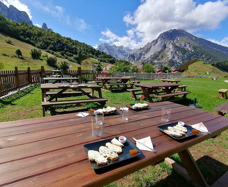 Image d'une dégustation de fromages