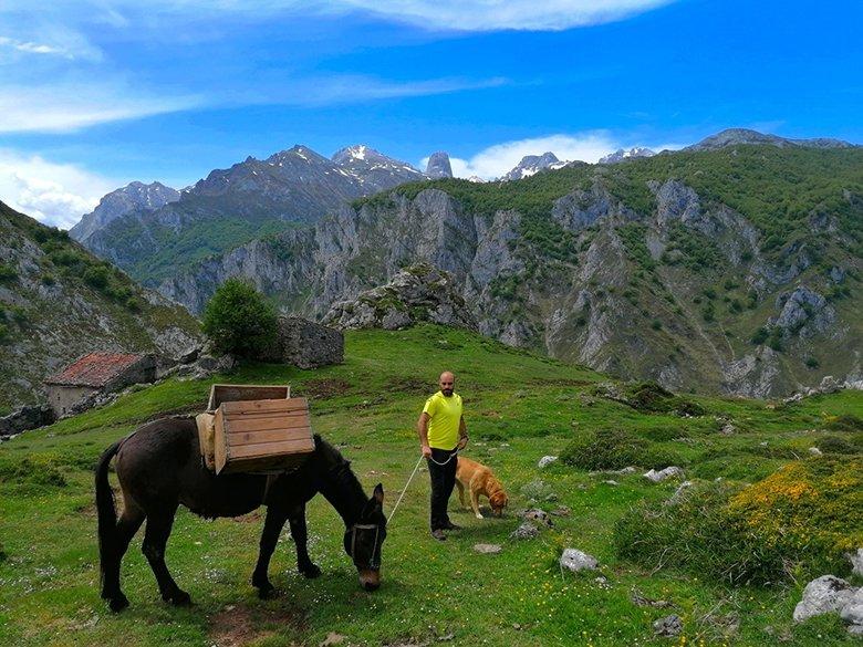 Transport de fromage image