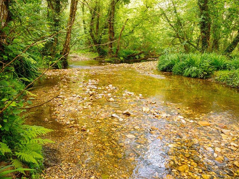 Bild des Weges zum Teilnaturschutzgebiet Barayo und zum Fero-Brunnen.