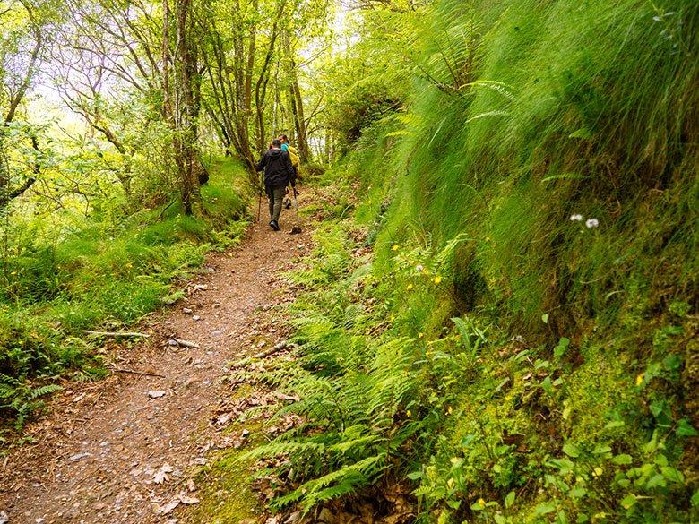 Immagine del percorso verso la Riserva Naturale Parziale di Barayo e il pozzo di Fero.