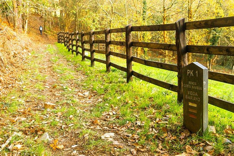 Image de la route menant à la réserve naturelle partielle de Barayo et au puits de Fero.