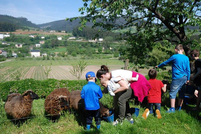 Bild des Landguts Amaido (San Tirso de Abres)