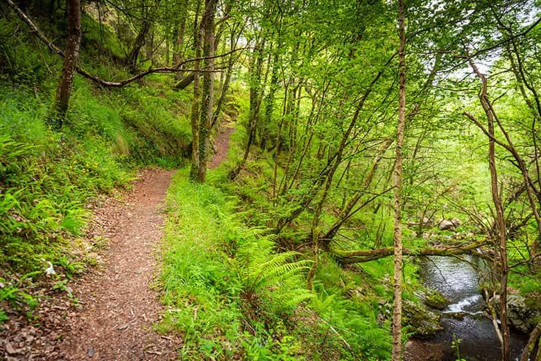 Imagen del camino a la cascada de Morlongo (Villanueva de Oscos)