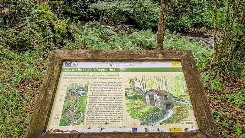 Image du chemin de la Regueirina (Tineo)