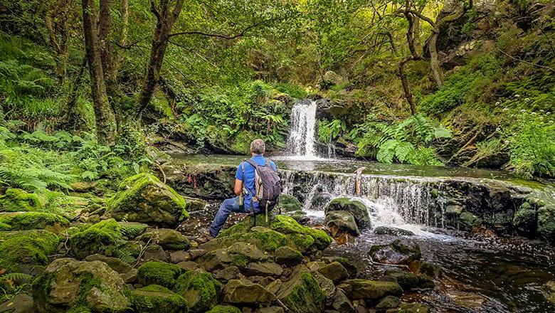 Immagine di La Regueirina Path (Tineo)