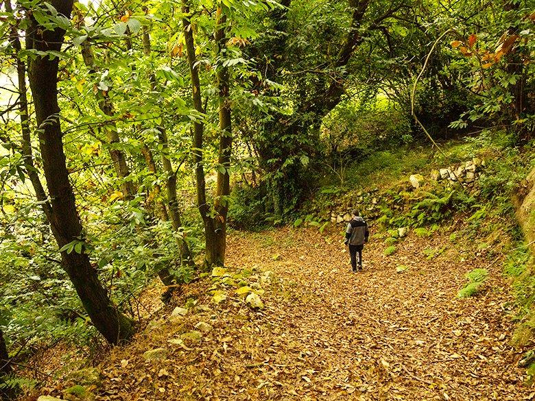 Image du chemin de la Regueirina