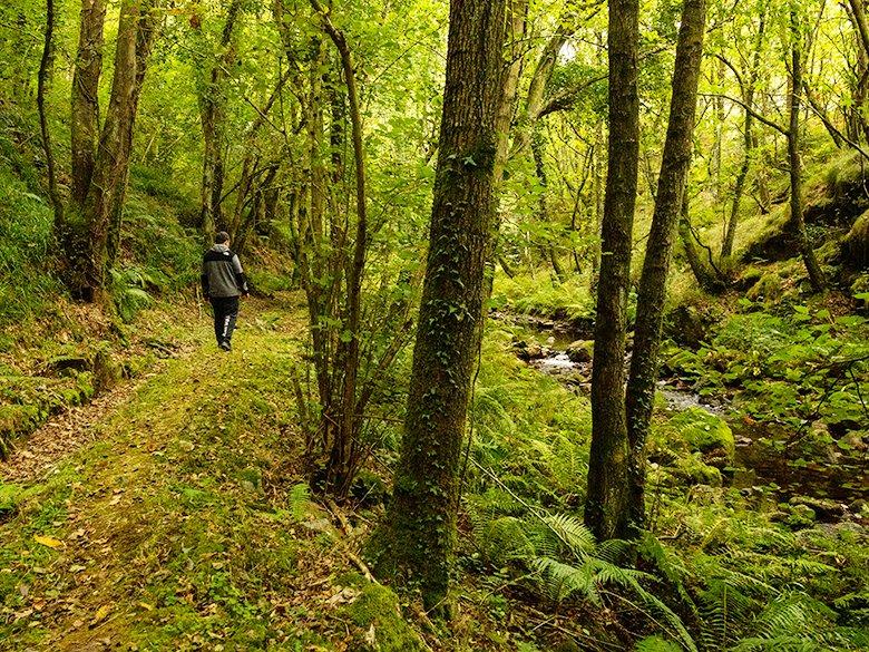 Image du chemin de la Regueirina