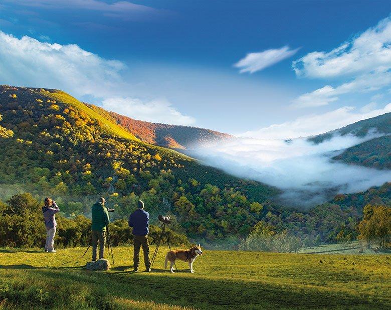 Imagen de Cangas del Narcea