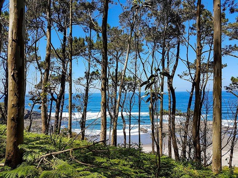 Image de la plage de Frexulfe