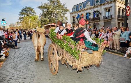 Fest der Pinto-Eier 1