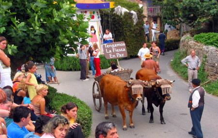 Carroças de Valdesoto