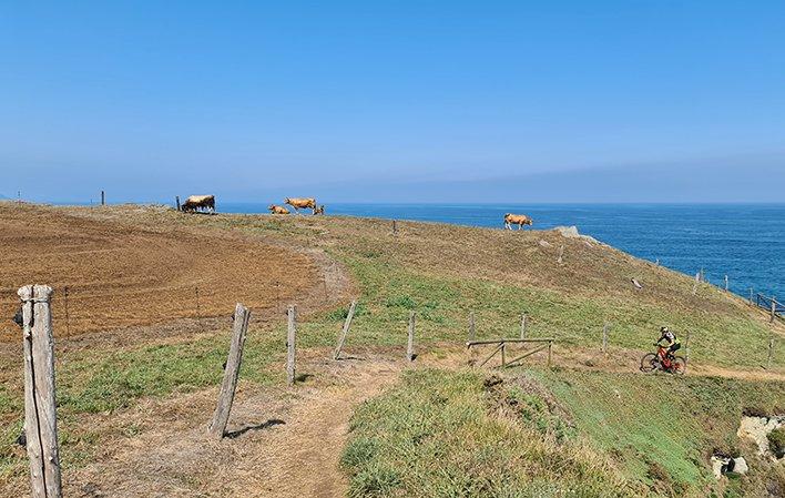 Gehe zu Bild Internationale Reise entlang der Küste von Navia