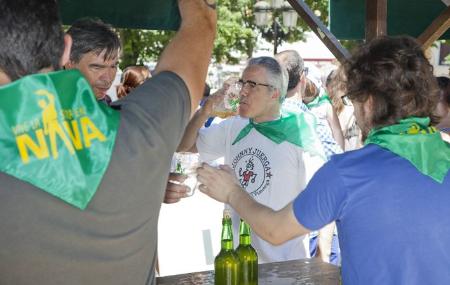 Festival de la Sidra Natural de Nava