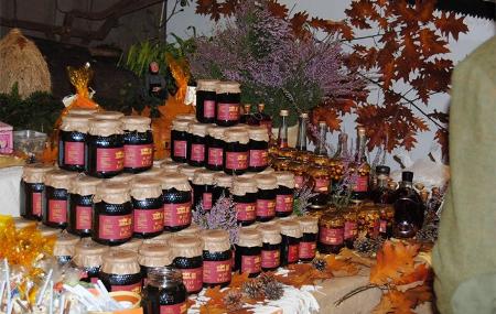 Boal Honey Fair