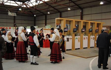 Honigmesse in Boal