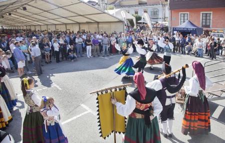 Festival de la Noisette