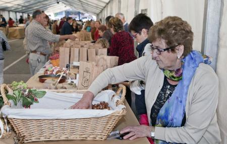 Hazelnut Festival