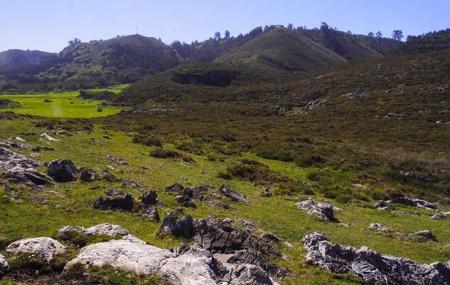 Pimiango Meadows in Ribadedeva