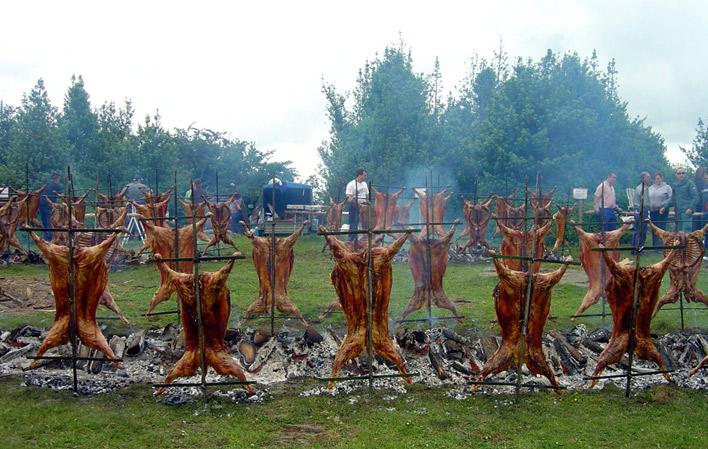 Aller à Image Fête de l'Agneau