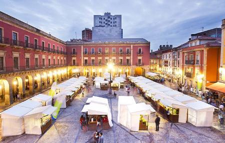 Artisan and Ecological Market of Gijón