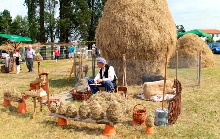 Marché traditionnel d'Oles