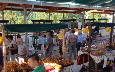 Casín Cheese Contest.