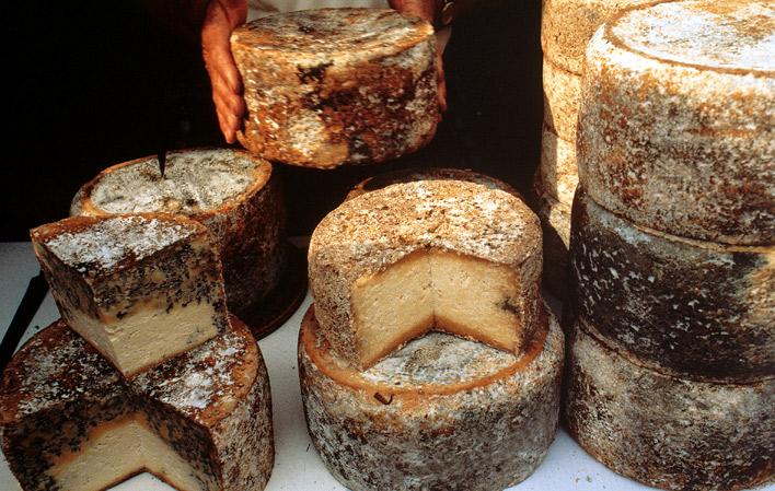 Go to Image Gamonedo Cheese Contest