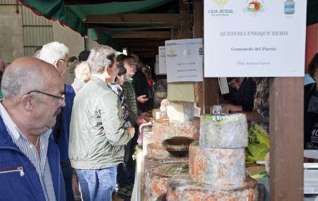 Concorso del formaggio Gamonedo.