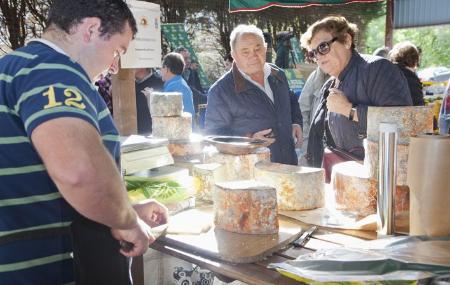 Imagen Concours du fromage de Gamonedo