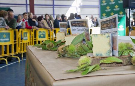 Concours du fromage de Gamonedo