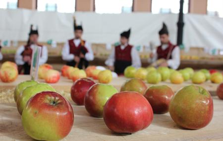 Imagen Apple Festival