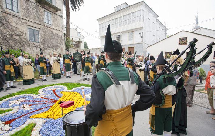 Go to Image The floral carpets of Corpus Christi