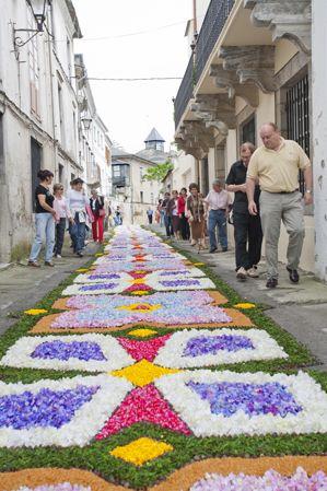 Alfombras Florales del Corpus