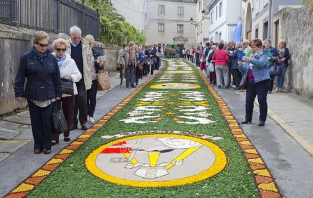 Alfombras Florales del Corpus