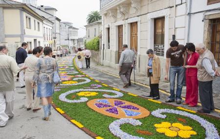 Alfombras Florales del Corpus