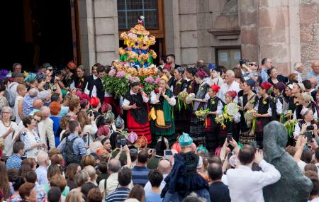 Festa di San Antonio di Padova