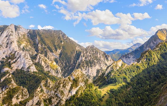 Gehe zu Bild Naturpark Ponga