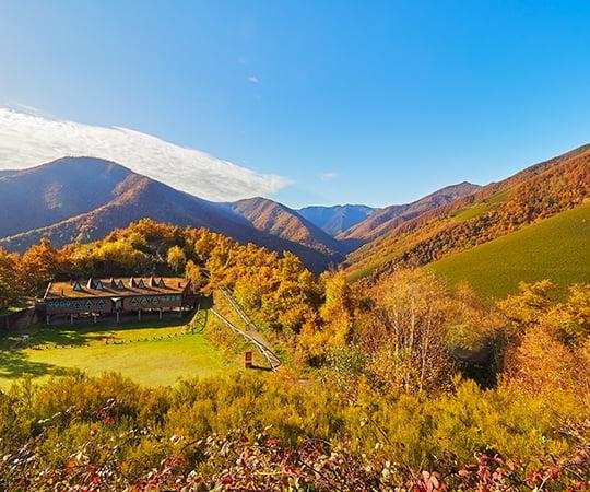 Vue panoramique de la forêt de Muniellos avec le centre d'interprétation au premier plan.