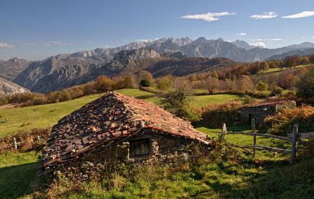 Cabaña en la ruta del bosque de Peloño - Las Bedules - Ponga