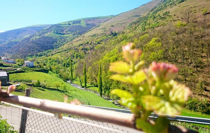 Aller à Image Bodegas Vitheras S.L.