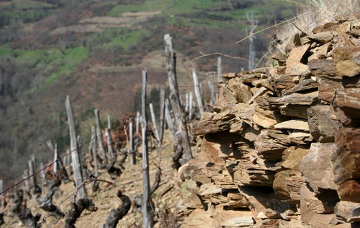 Aller à Image Bodega Vidas