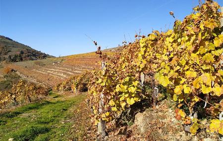 Weingut Las Danzas