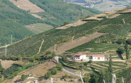 Bodega Antonio Álvarez Álvarez