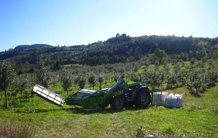 Aller à Image Pomarada Finca La Rionda