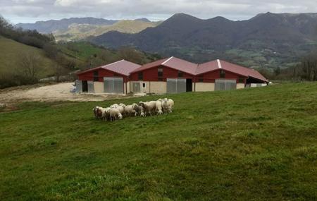 Demués Cheese Factory 1