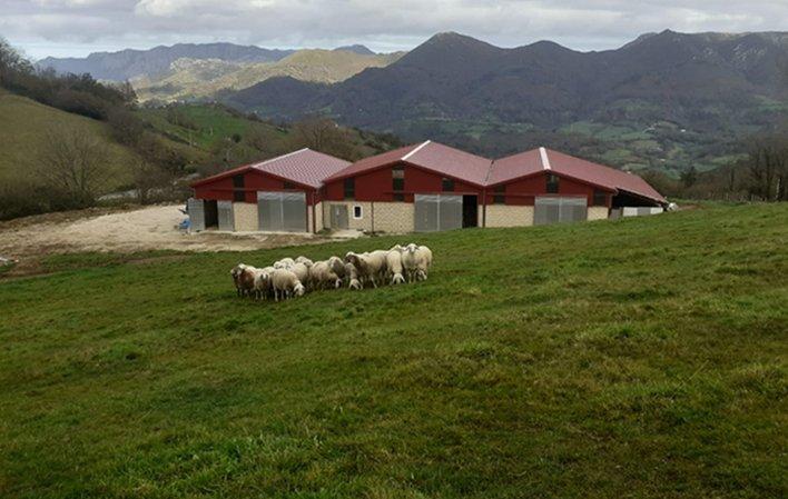 Aller à Image Fromagerie Demués