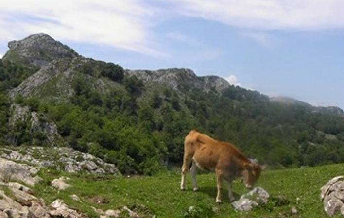 Aller à Image Maison de montagne