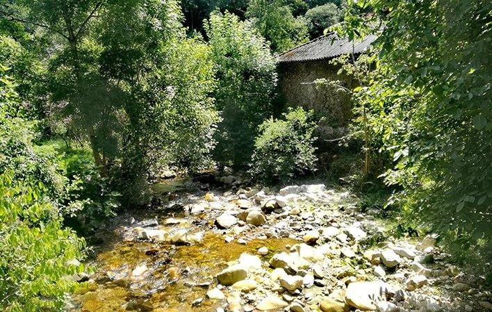 Etapa 8: El Fresnedal - Melendreros foto 2